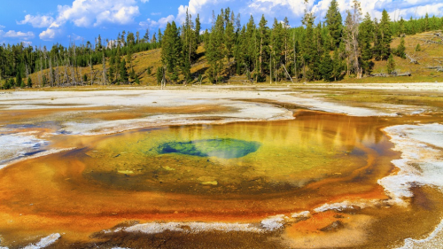 America - Upper Geyser Basin Yellowstone Wyoming